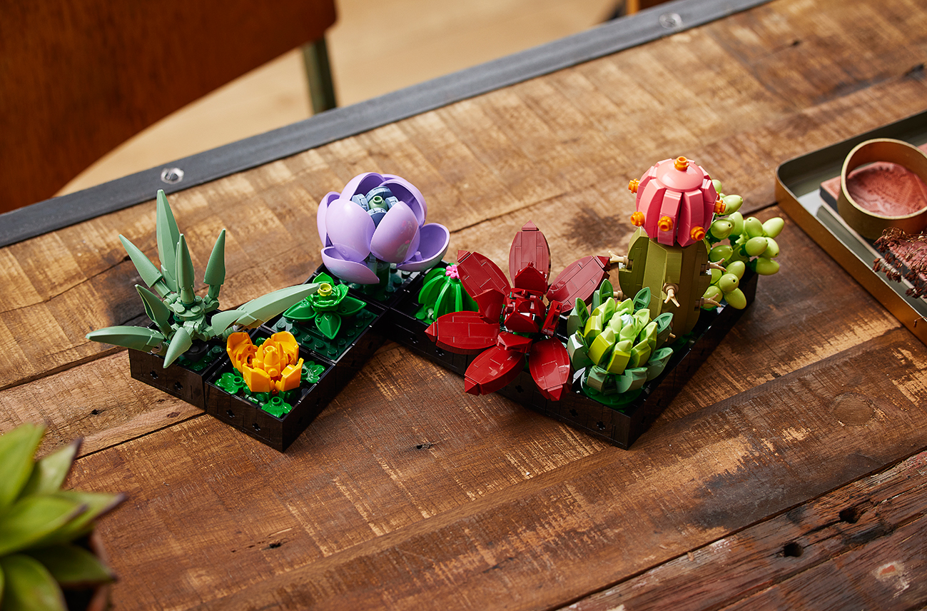 植物控必收！ LEGO 根据真实植物型态打造最新「Orchid」及「Succulents」积木套组。 - Iconicmen