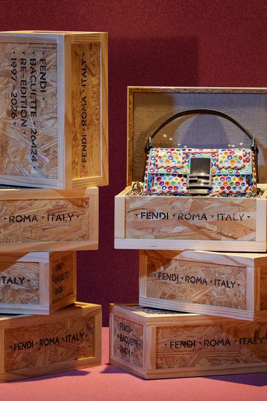 Baguette26424-Re-Edition_Accessories-Campaign-by-Jo-Ann-Callis-7x3