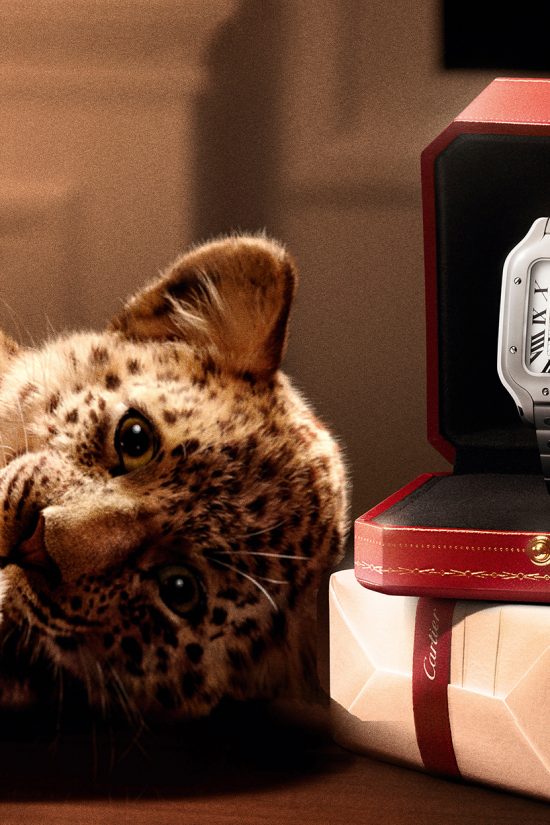 PUDI10848_Santos_Watchxxxx1123